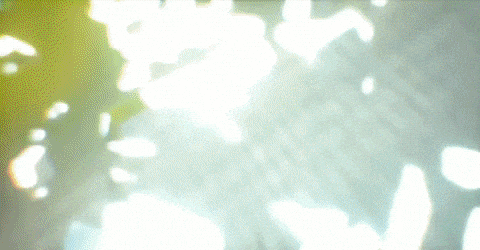 August Newsletter Gif