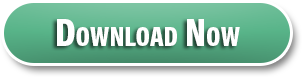 CEO Newsletter Q125 - Download Now
