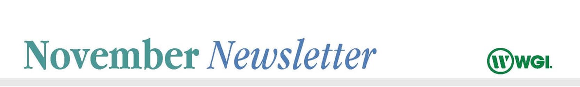 WGI Newsletter - November 2024
