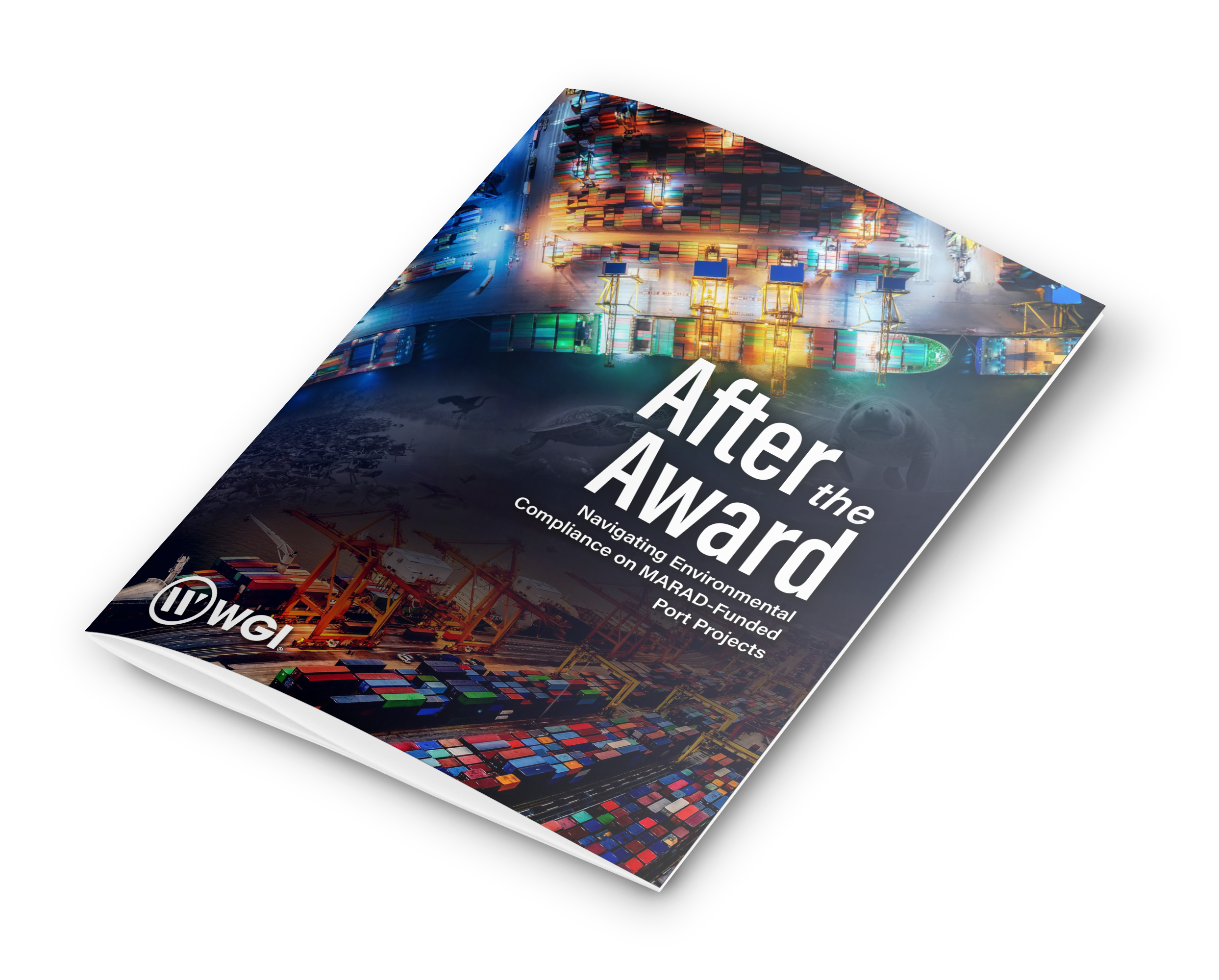 After the Award report cover