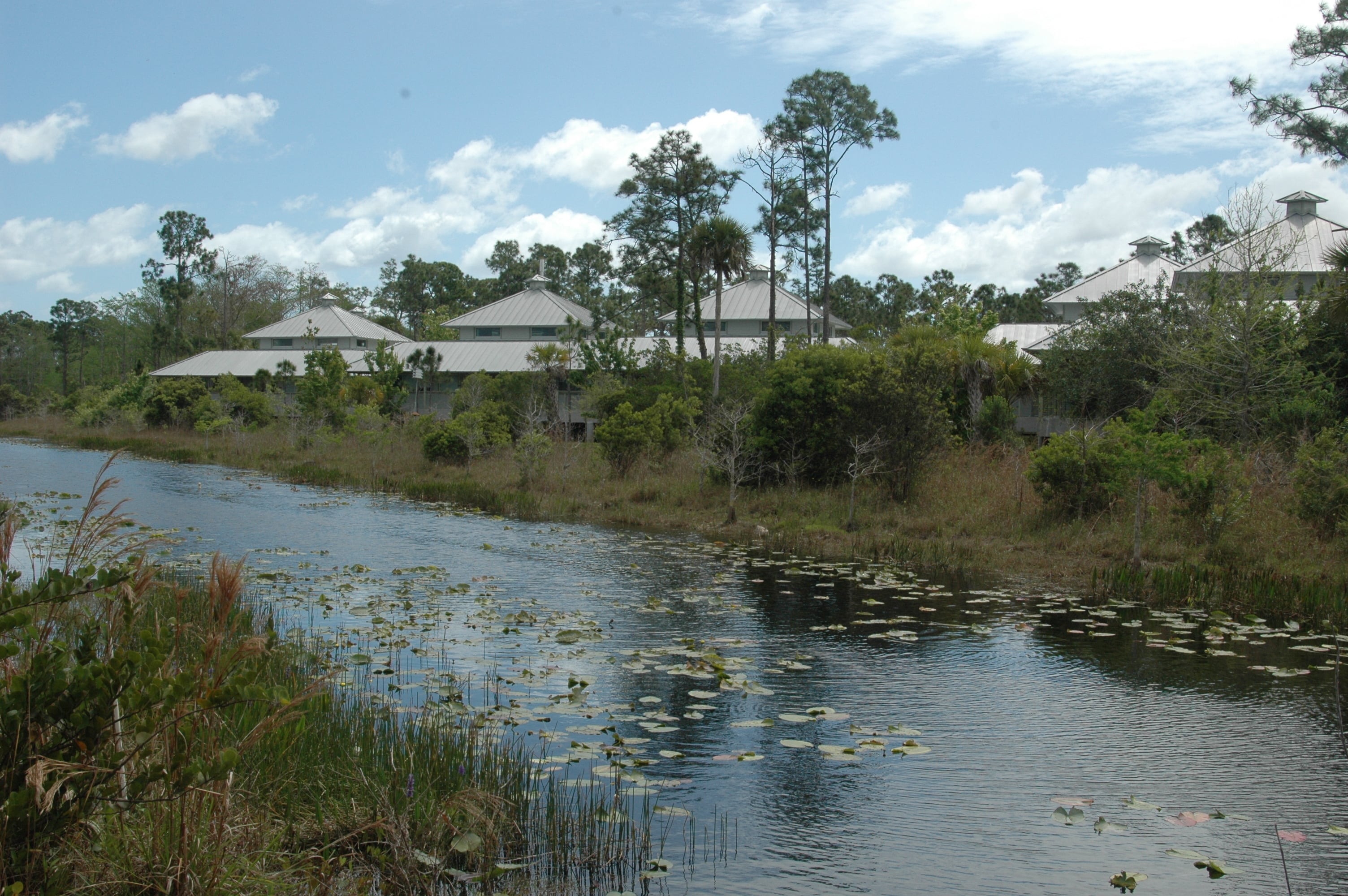 Homes along a wetland edge