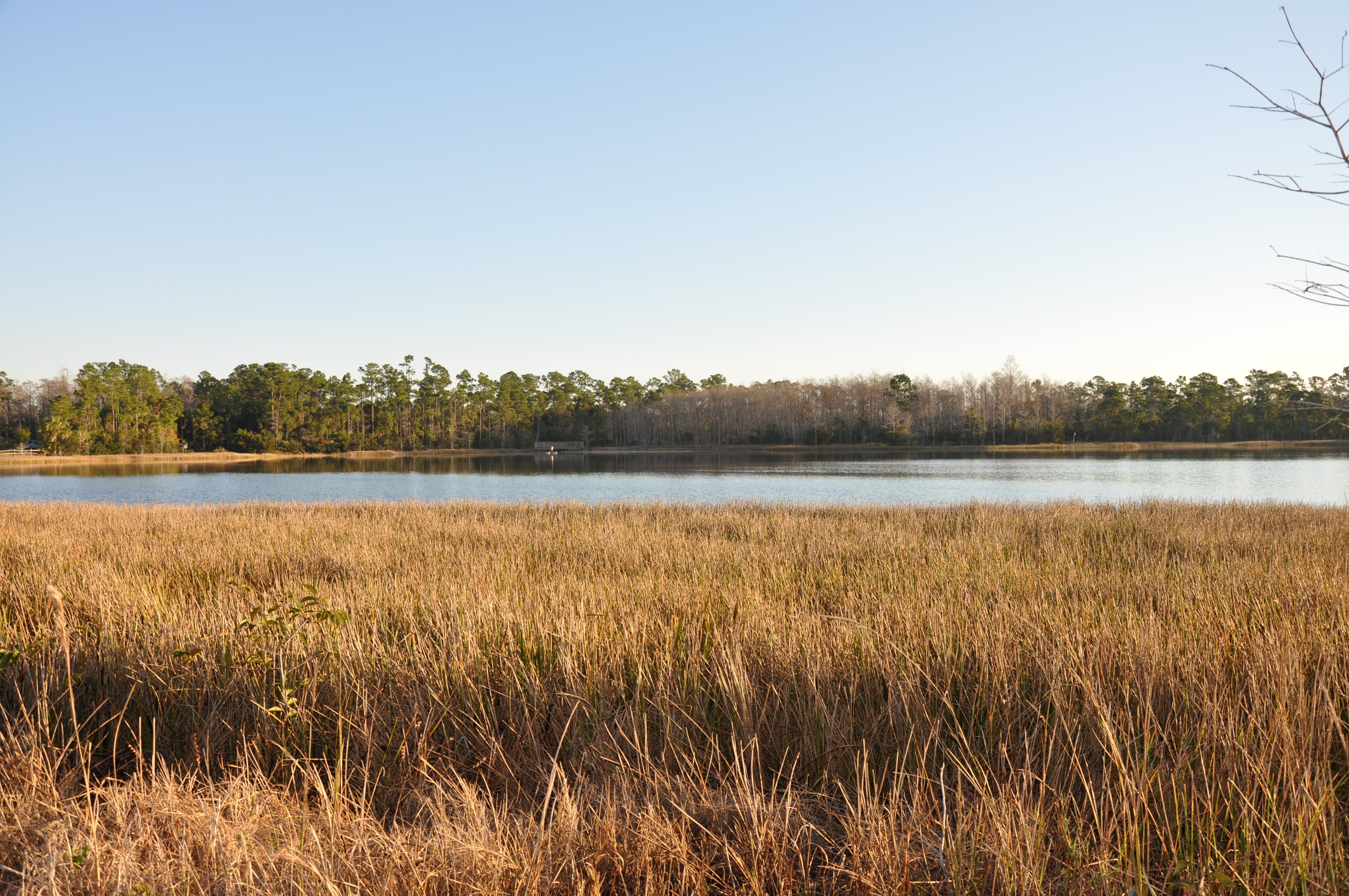 Freshwater marsh and open water