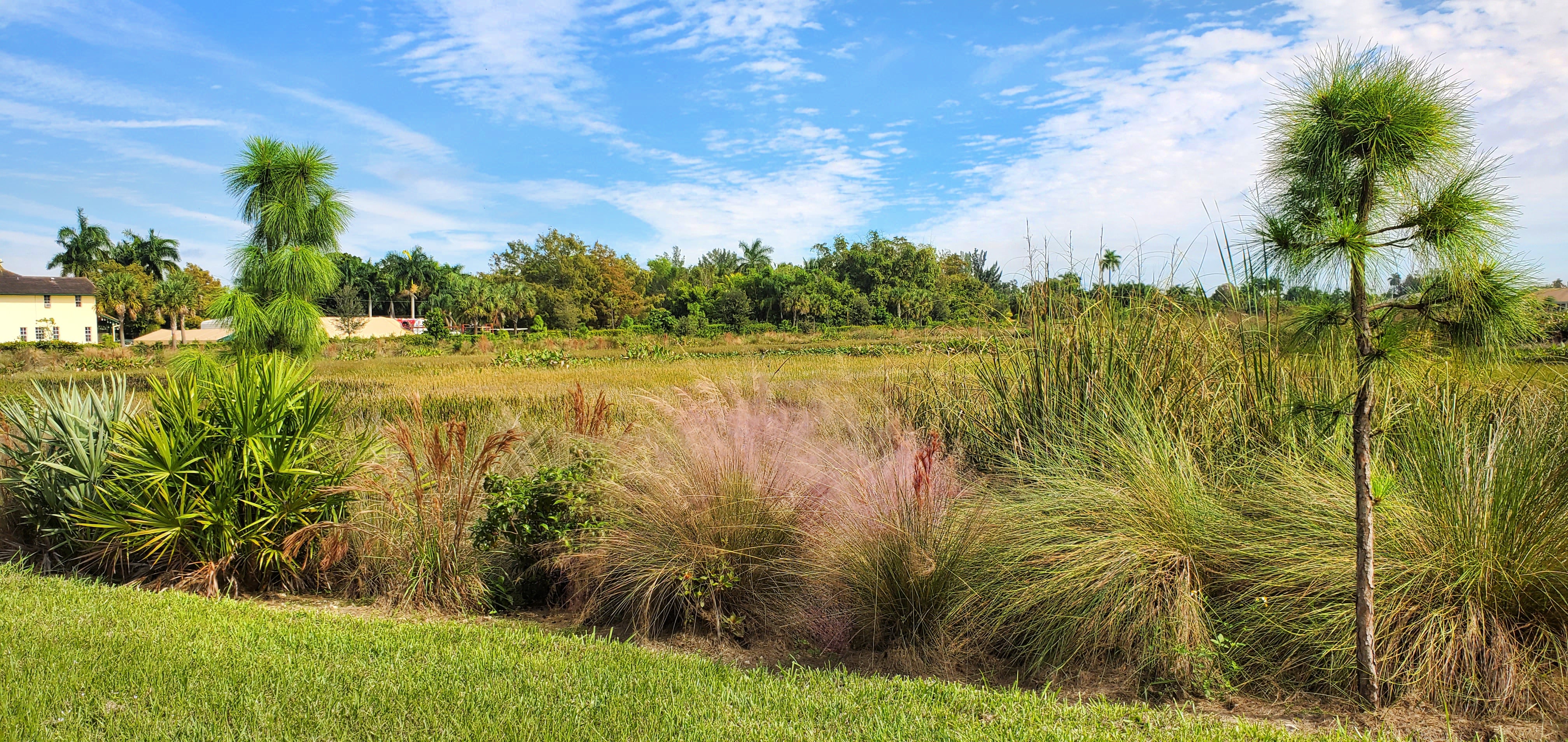 Residential community beside a wetland preserve
