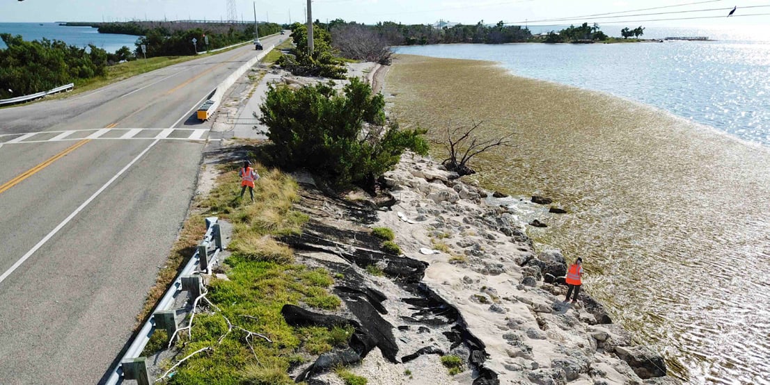 Coastal roadway and shoreline
