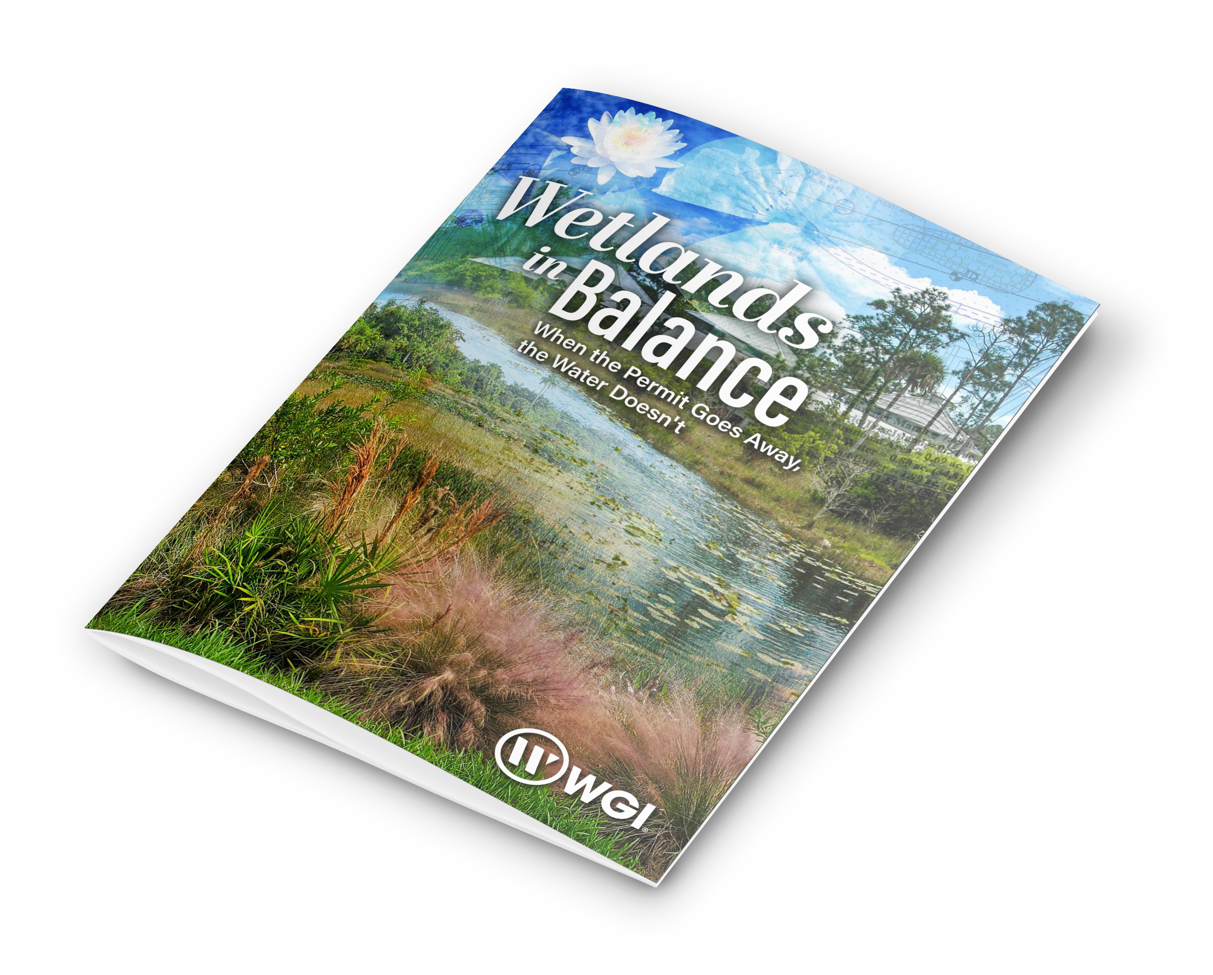 Wetlands in Balance whitepaper cover
